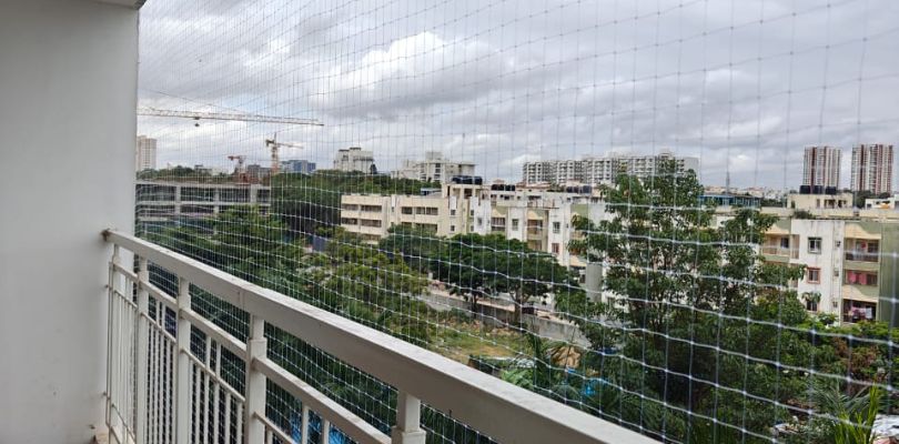 Pigeon Nets in Hebbal