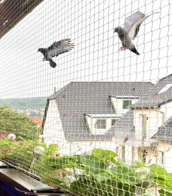 Bird Nets Installation Near Me in Hebbal