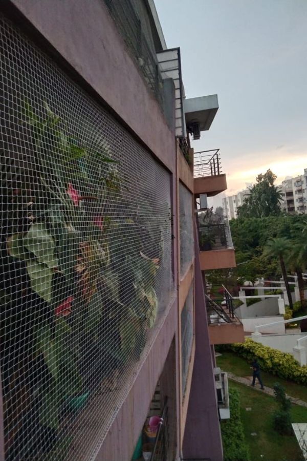 Pigeon Safety Nets in Hebbal