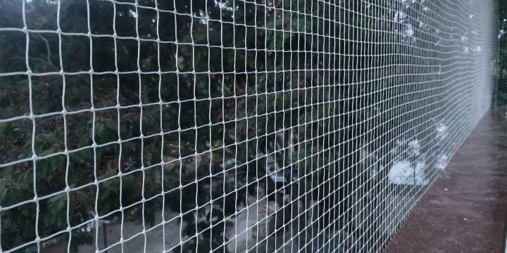 Pigeon Netting Price in Hebbal